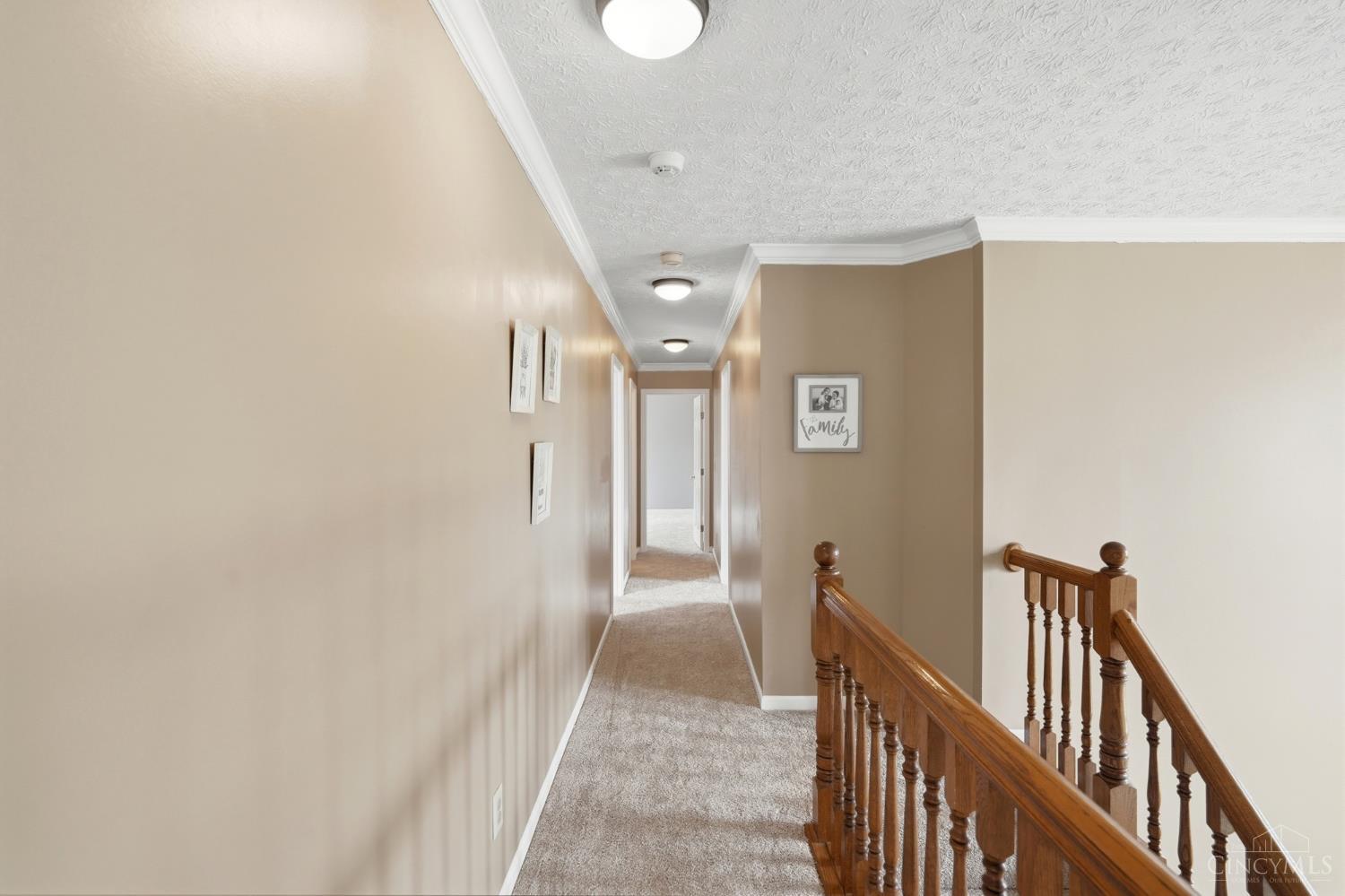 3291 Shadylake Drive