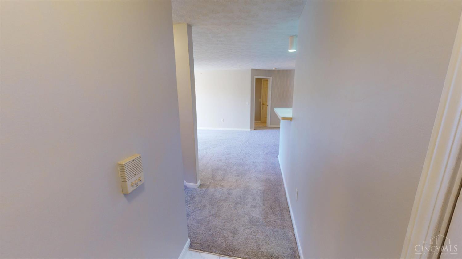 8514 Breezewood Court Unit: 205