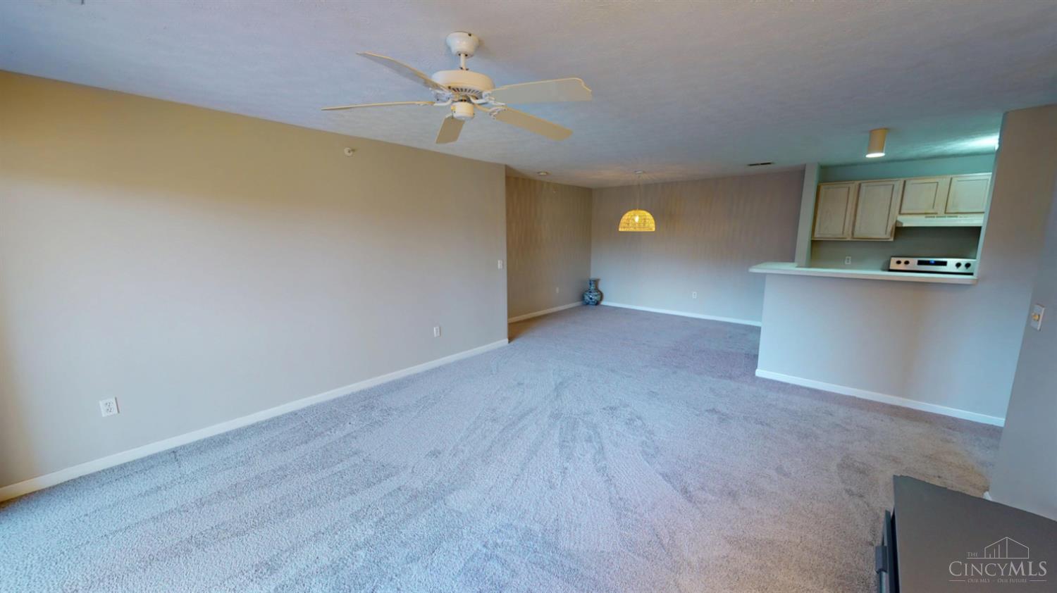 8514 Breezewood Court Unit: 205