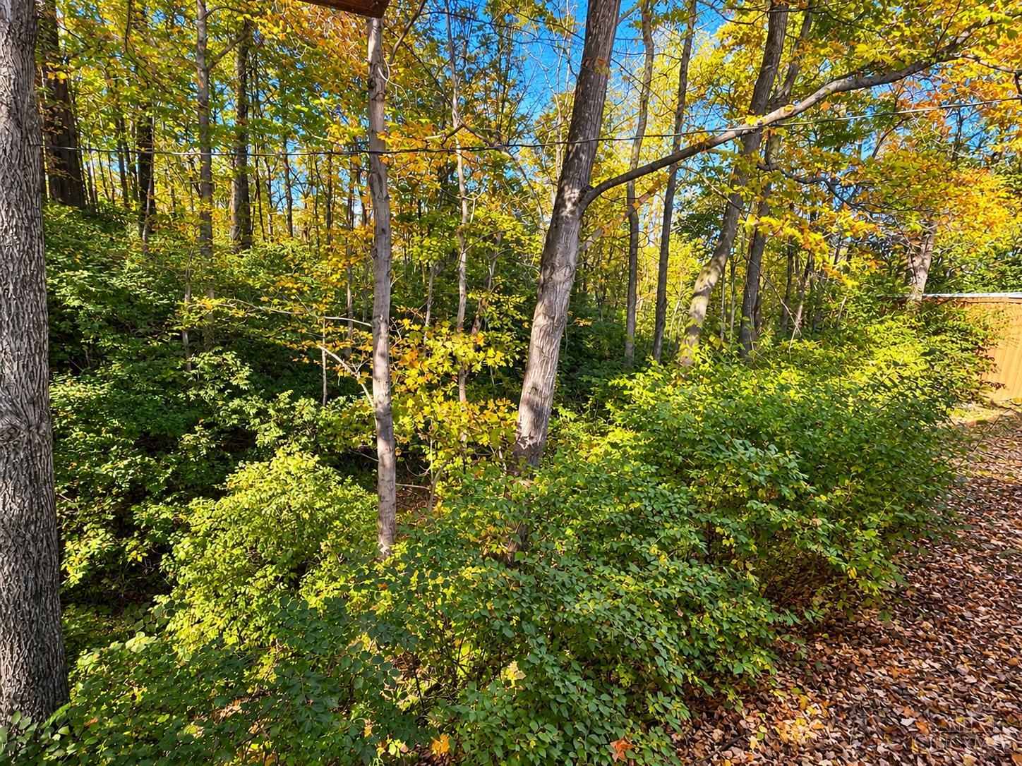 236 W Taylor School Road