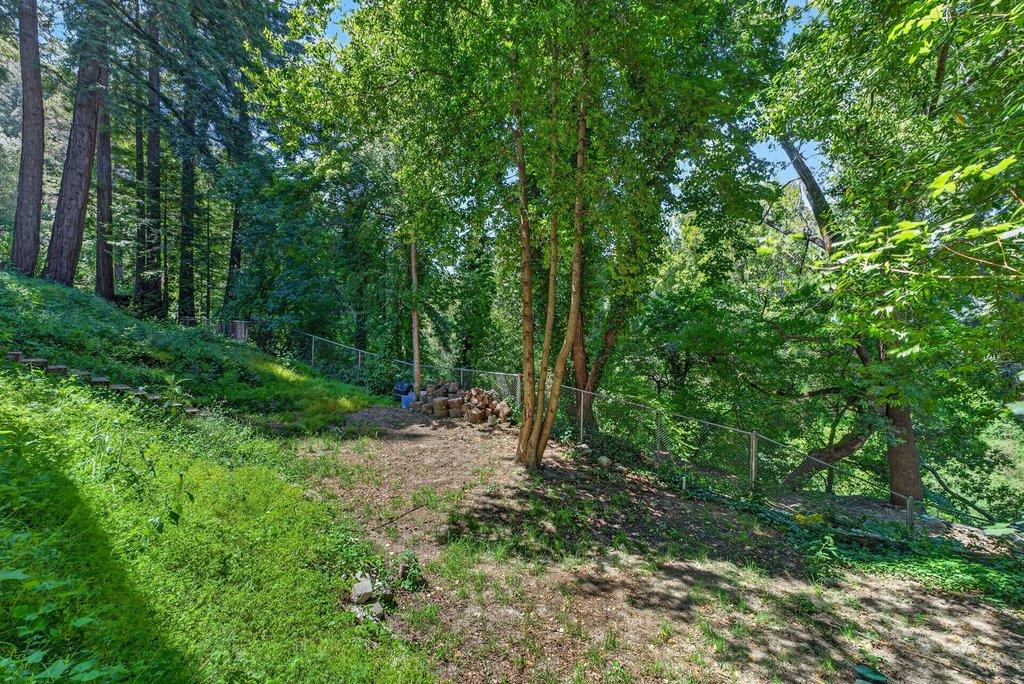 125 Shadowbrook Road