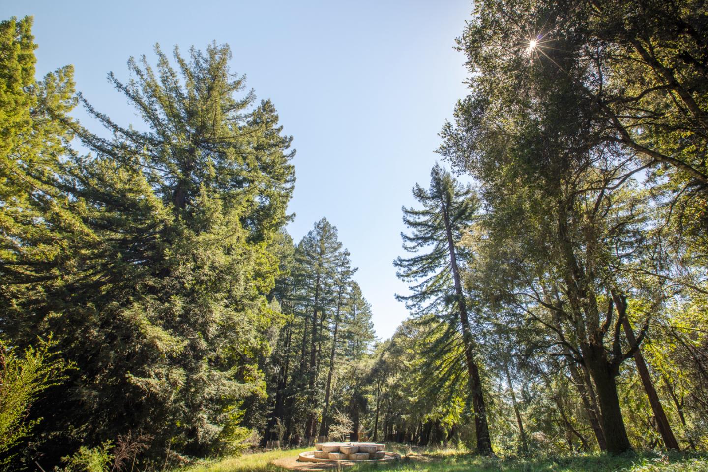 4444 Trout Gulch Road