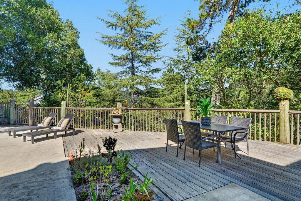 118 Blueberry DR