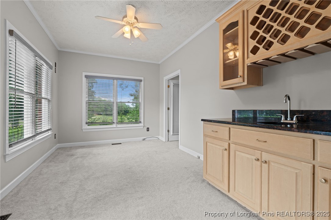 2805 Selhurst Drive