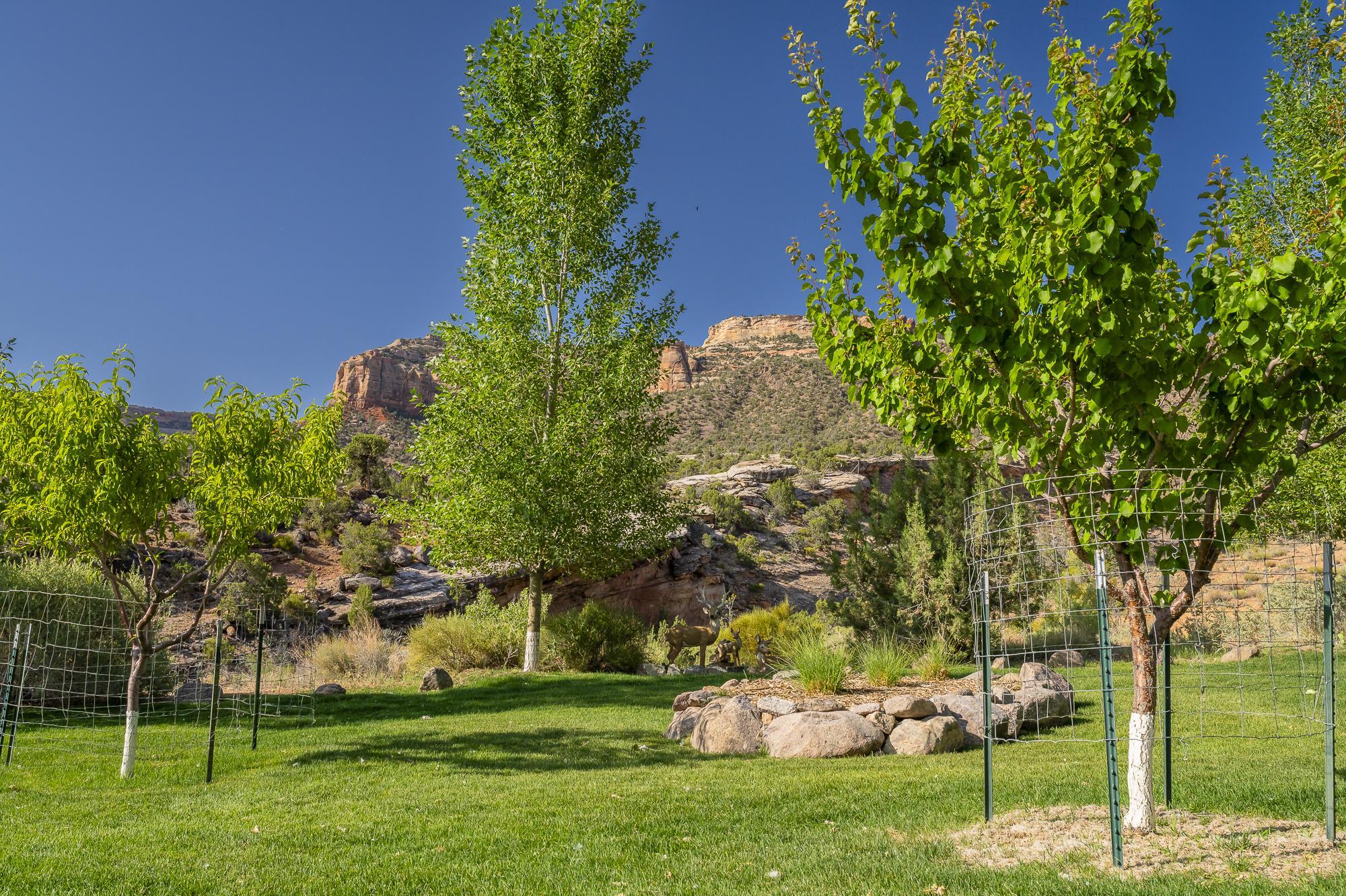 363 Granite Falls Way