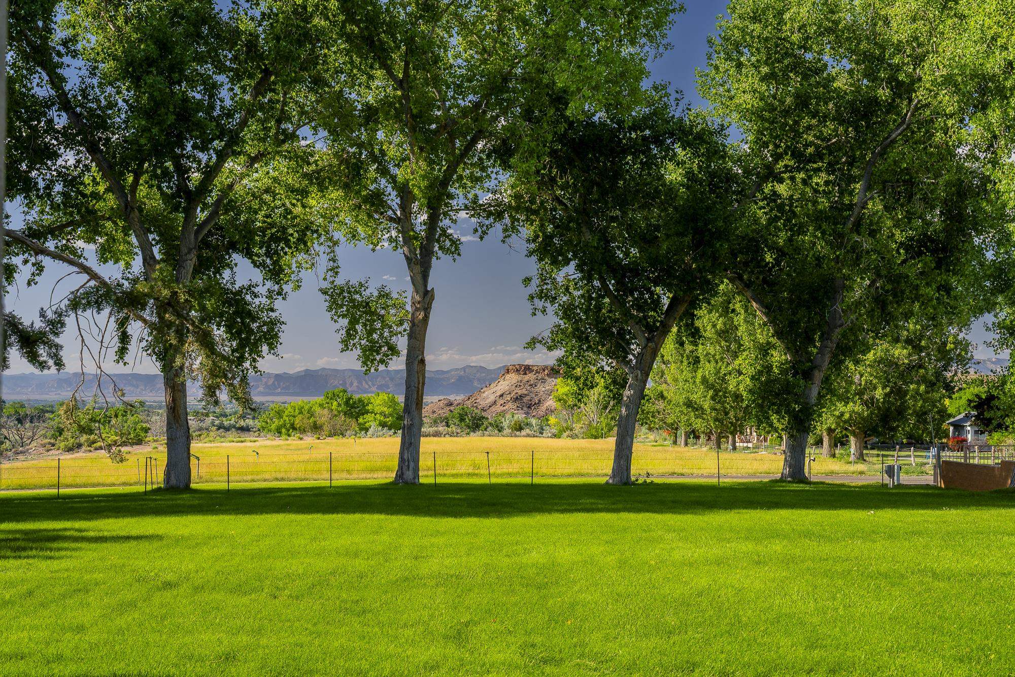 363 Granite Falls Way