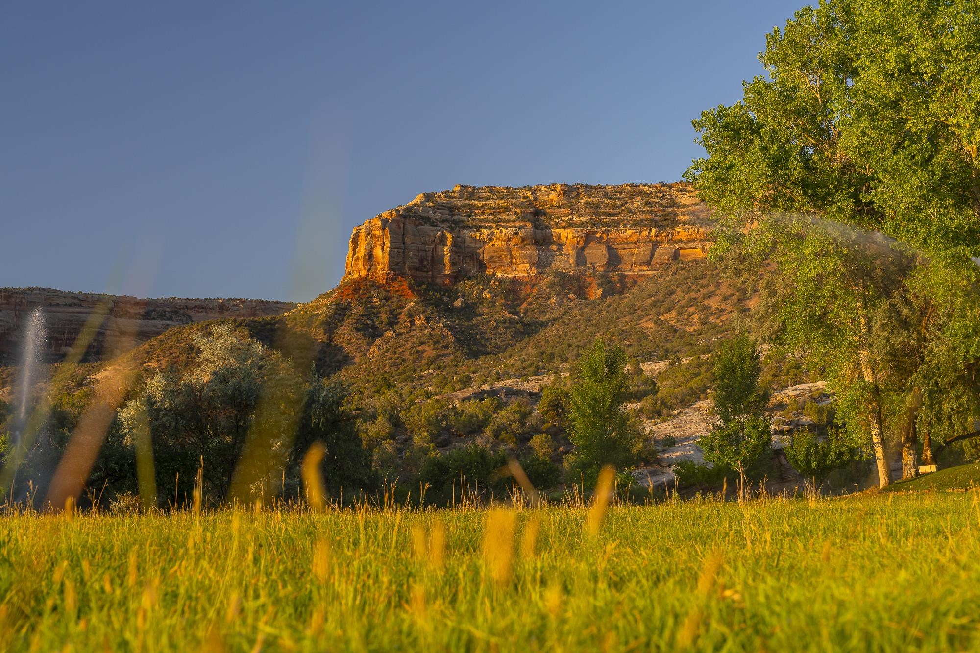 363 Granite Falls Way