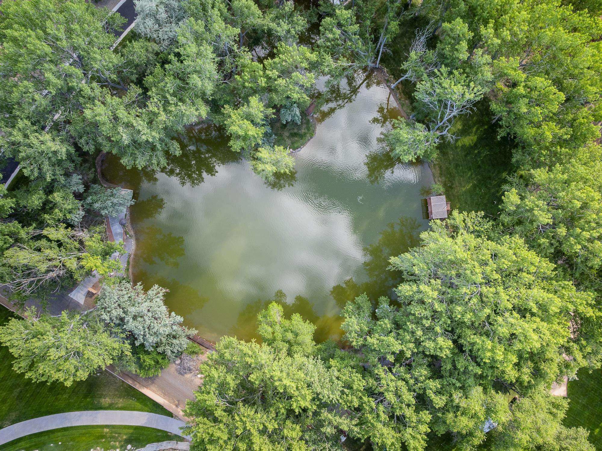 363 Granite Falls Way