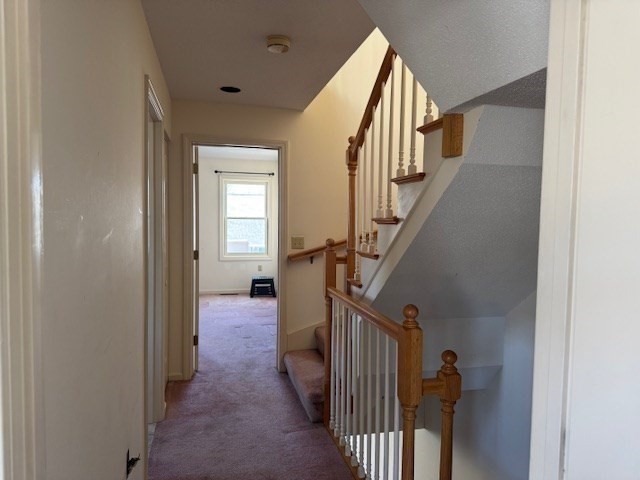 75 Hammond Place # 75
