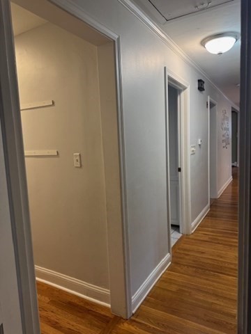 3 Upland Street # 3