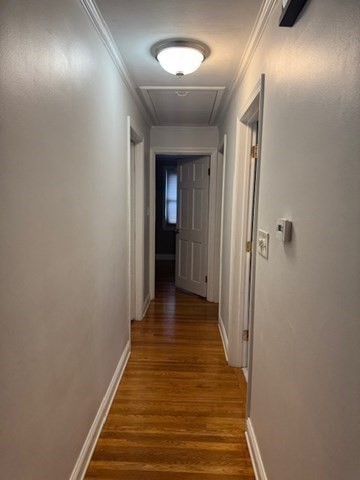 3 Upland Street # 3