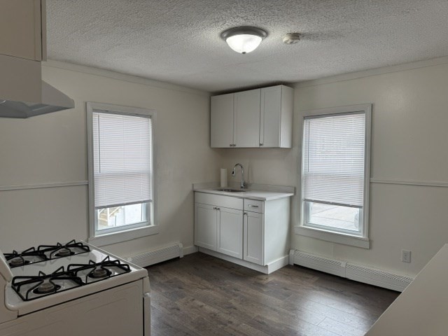 77 Agawam Street # 3
