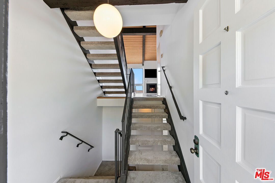 28206 Rey De Copas Ln