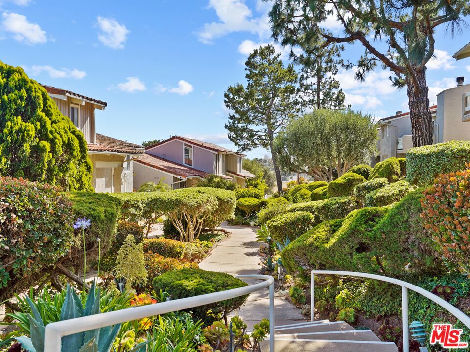 28206 Rey De Copas Ln