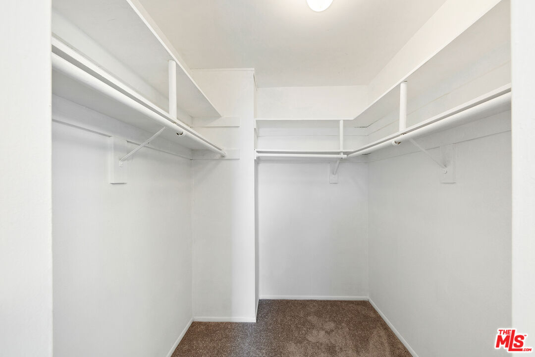 28206 Rey De Copas Ln