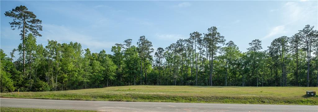 Lot 815 THUNDERBIRD Drive