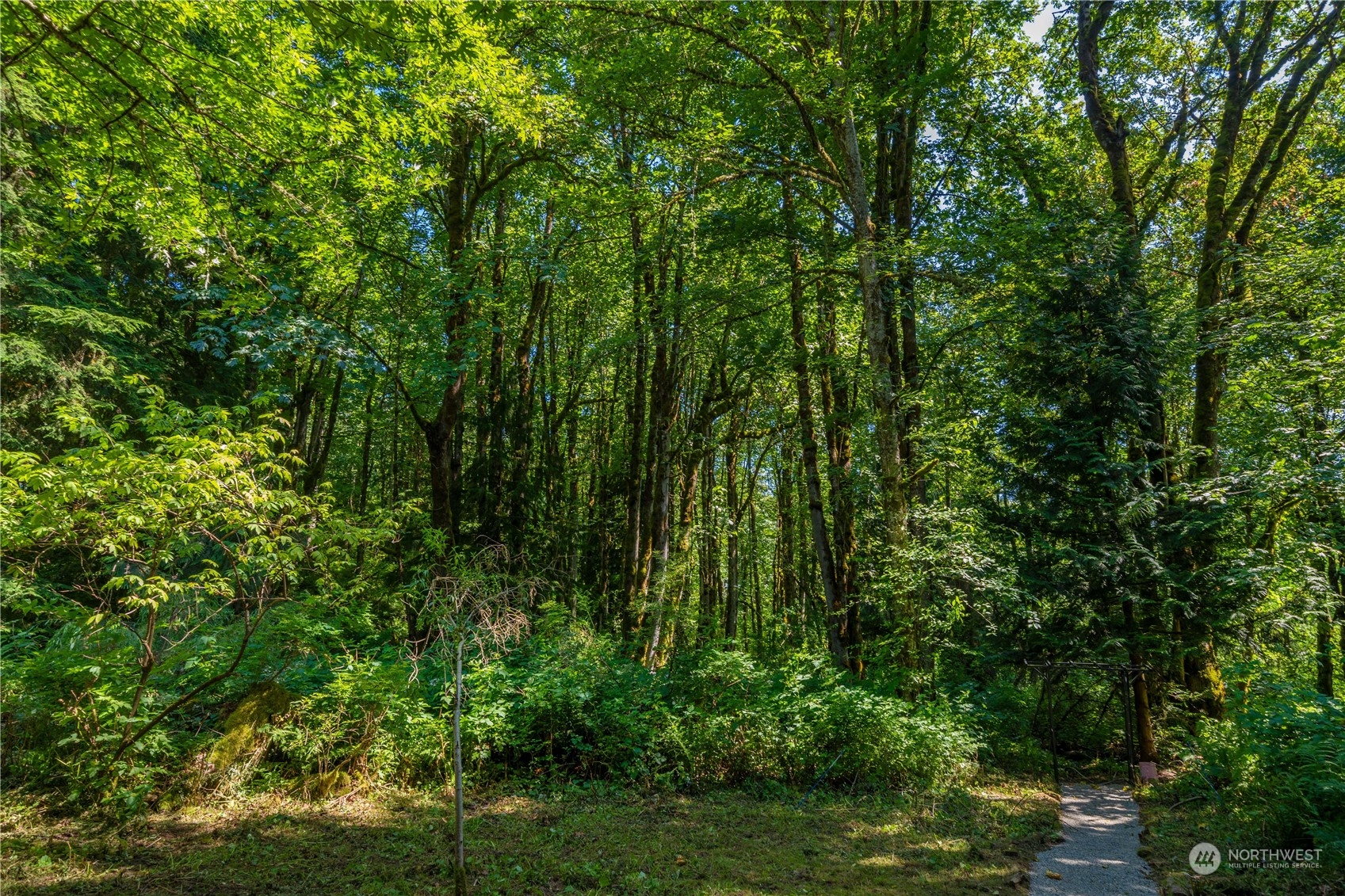 26919 SE 146th Street