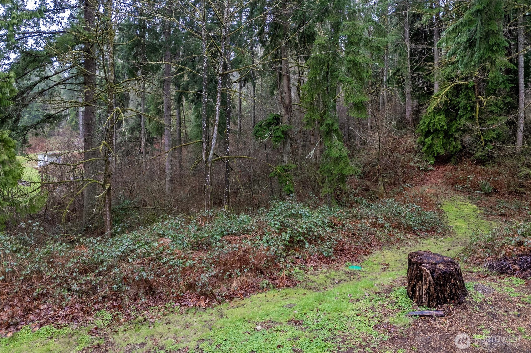 26510 SE 172nd Street