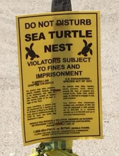 2700 N Ocean Drive 2106b