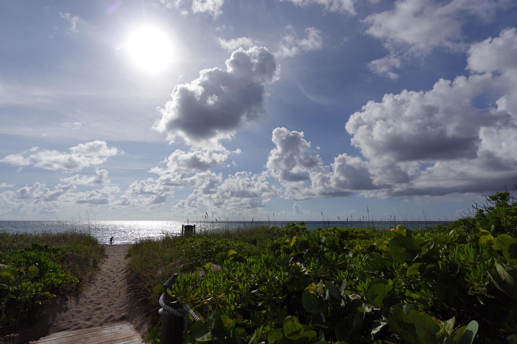 145 S Ocean Avenue 808