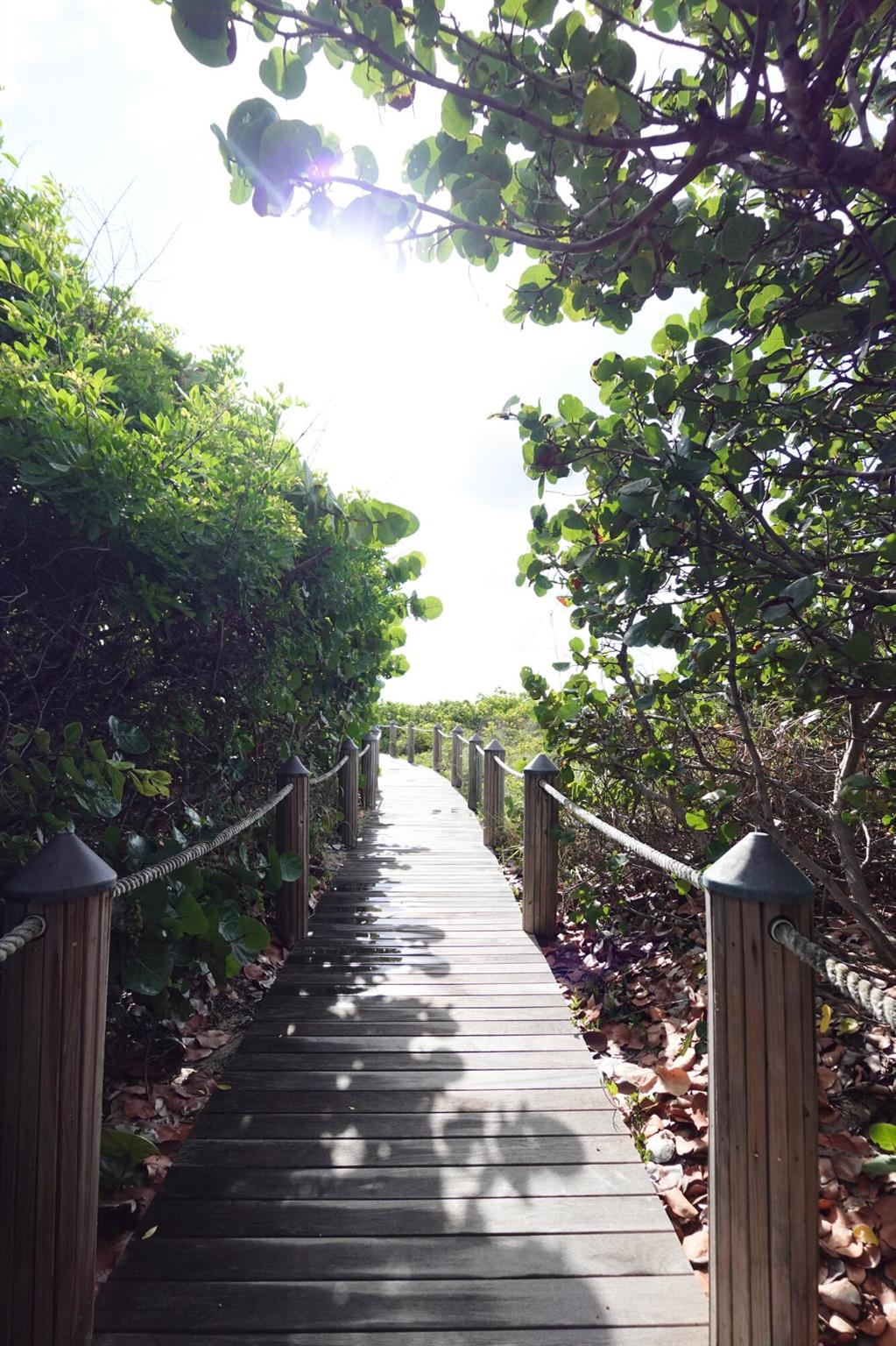 145 S Ocean Avenue 808