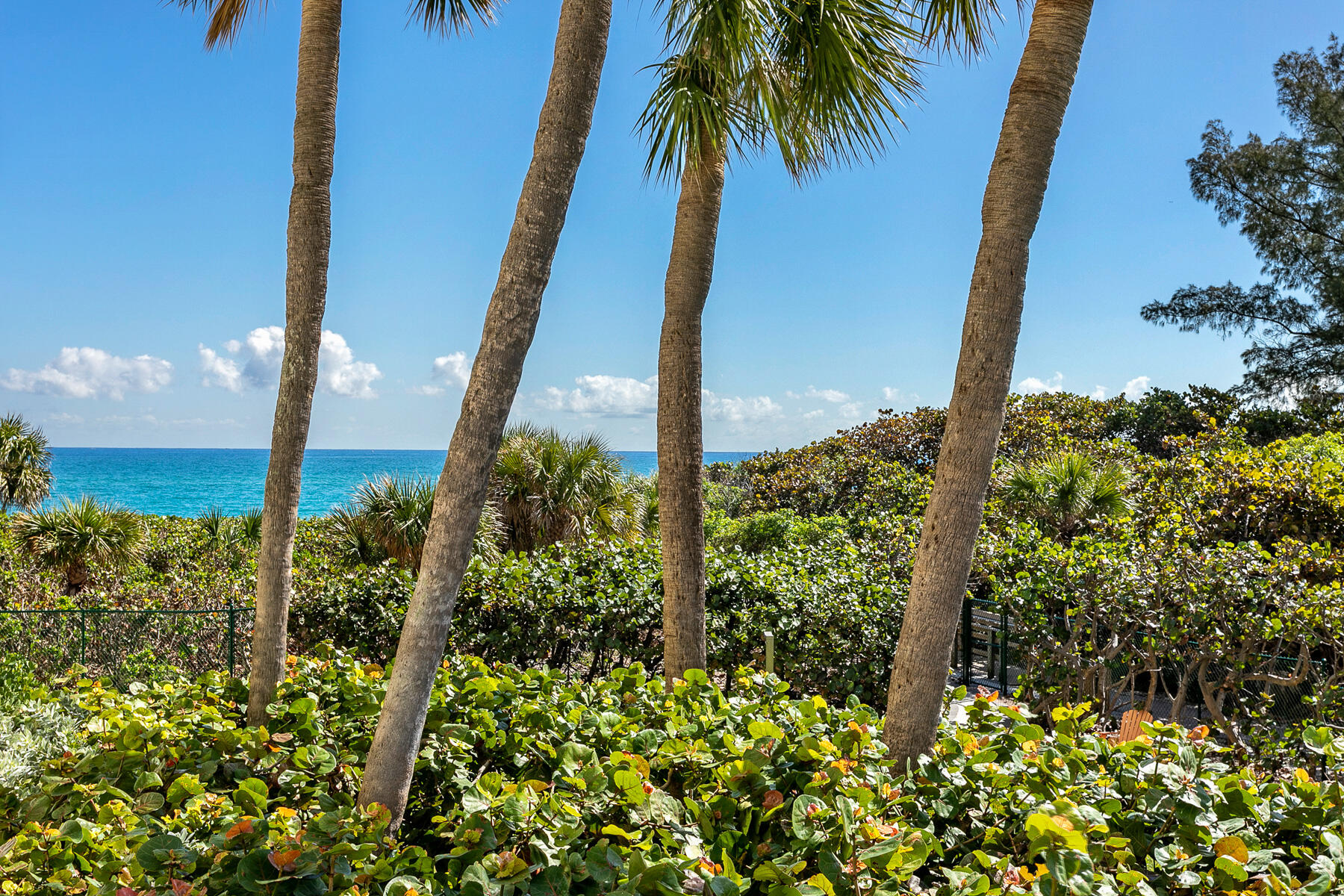 4000 N Ocean Drive 103