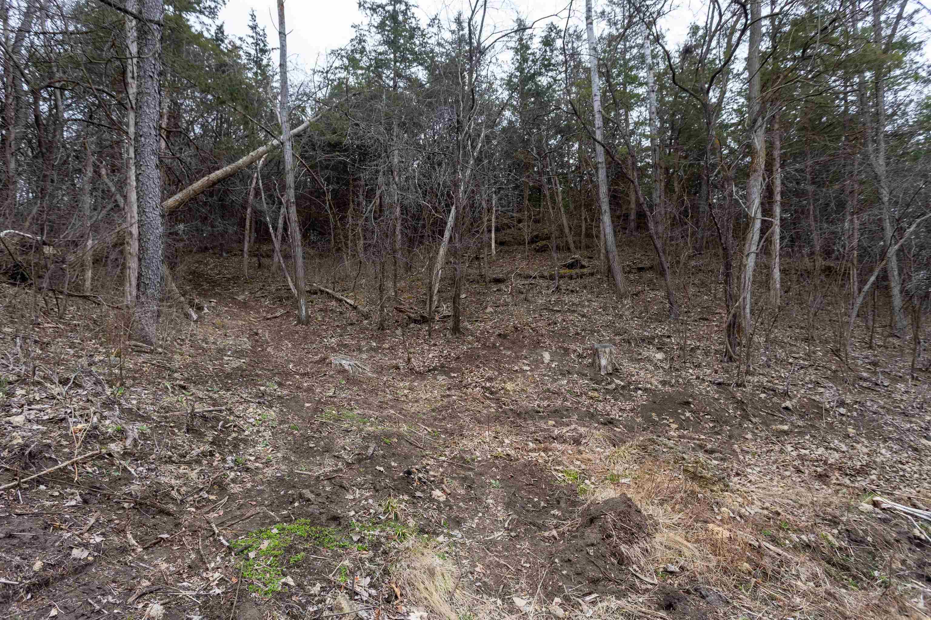 11903 Rupp Hollow Road Unit: 4 parcels