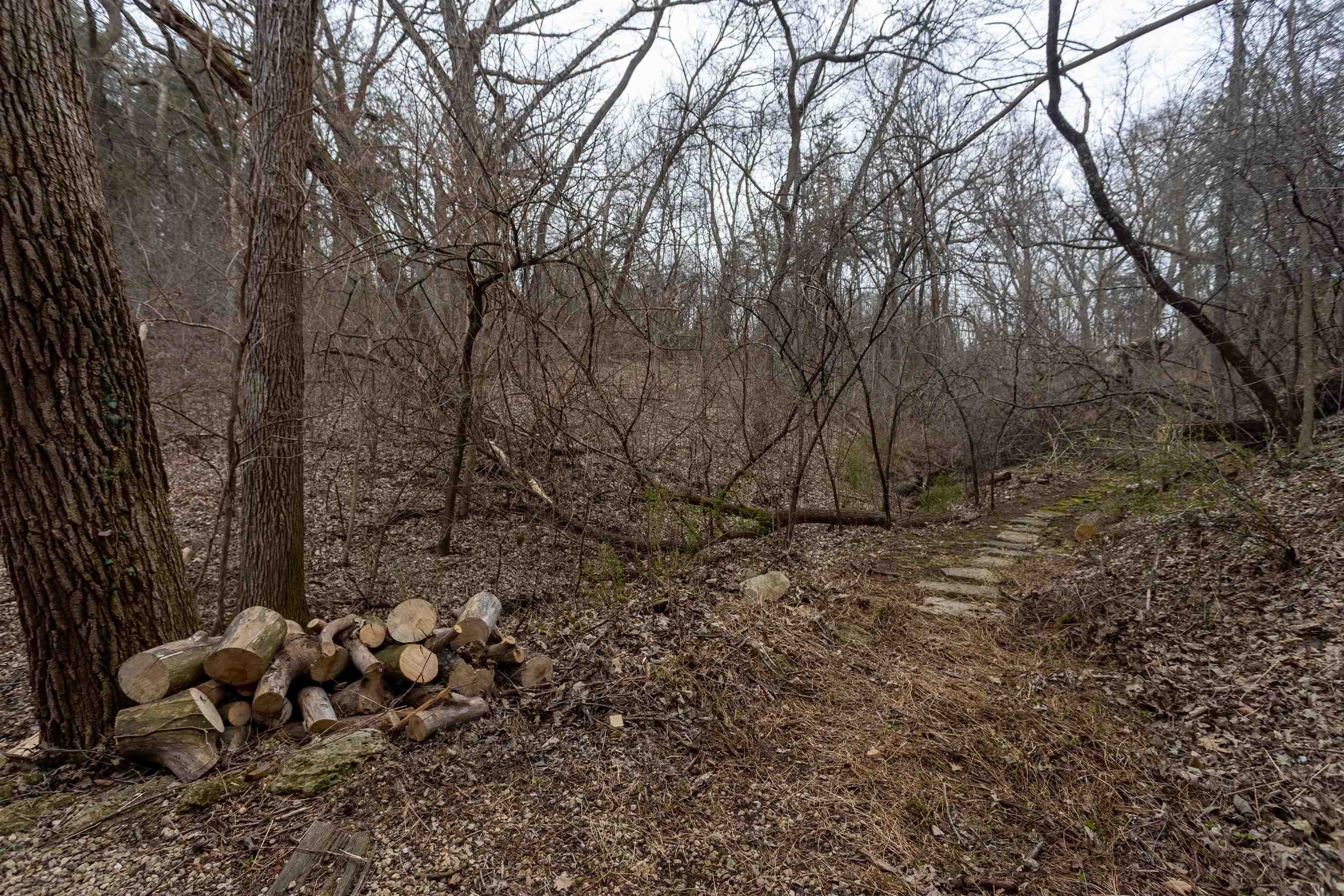 11903 Rupp Hollow Road Unit: 4 parcels