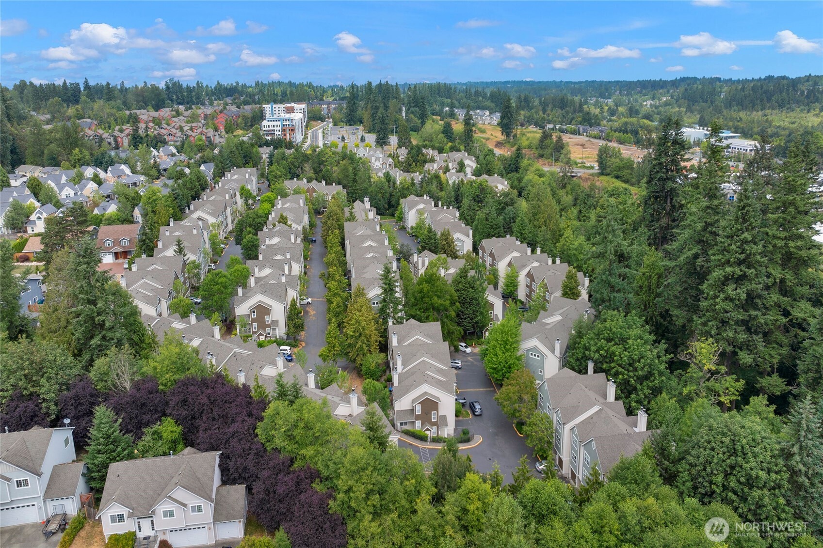 3116 164th Street SW Unit: 2006