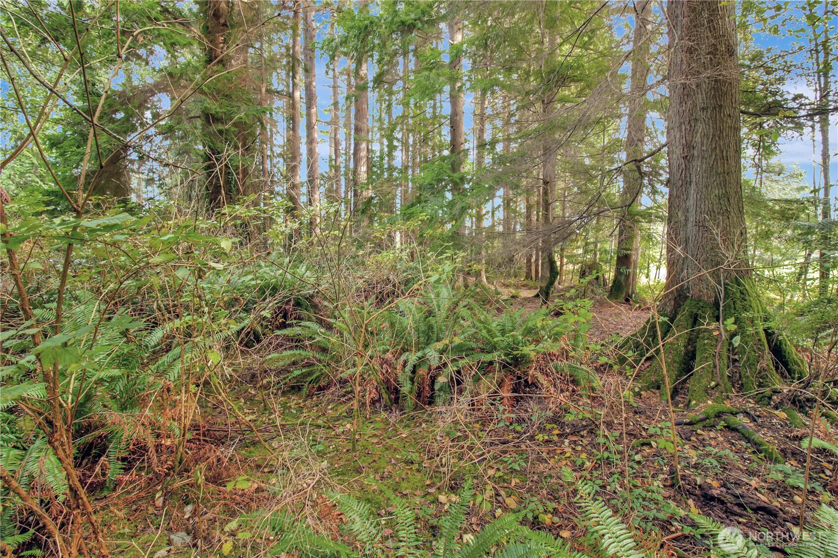 6 XXX 187th Avenue SE