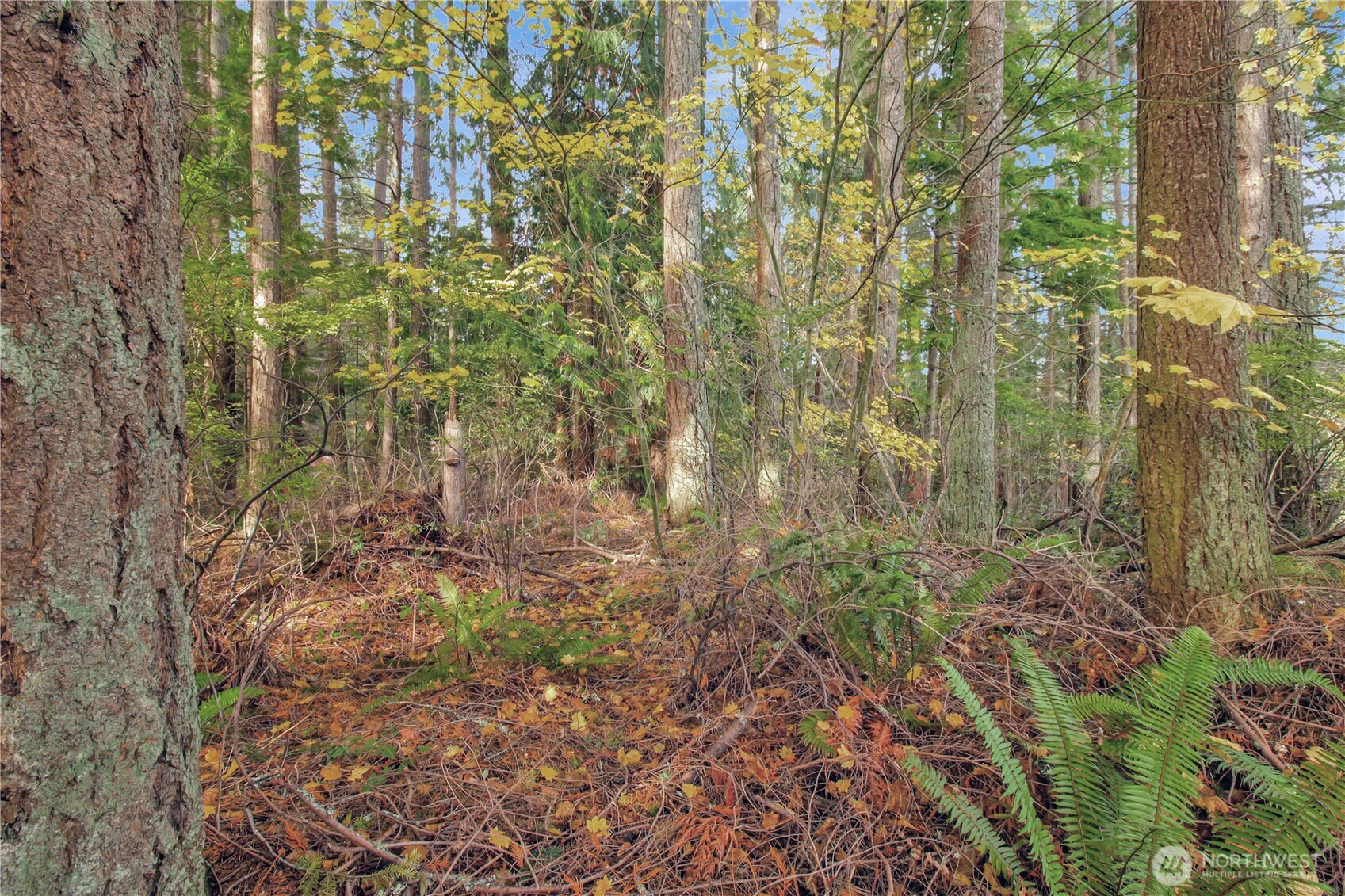 6 XXX 187th Avenue SE