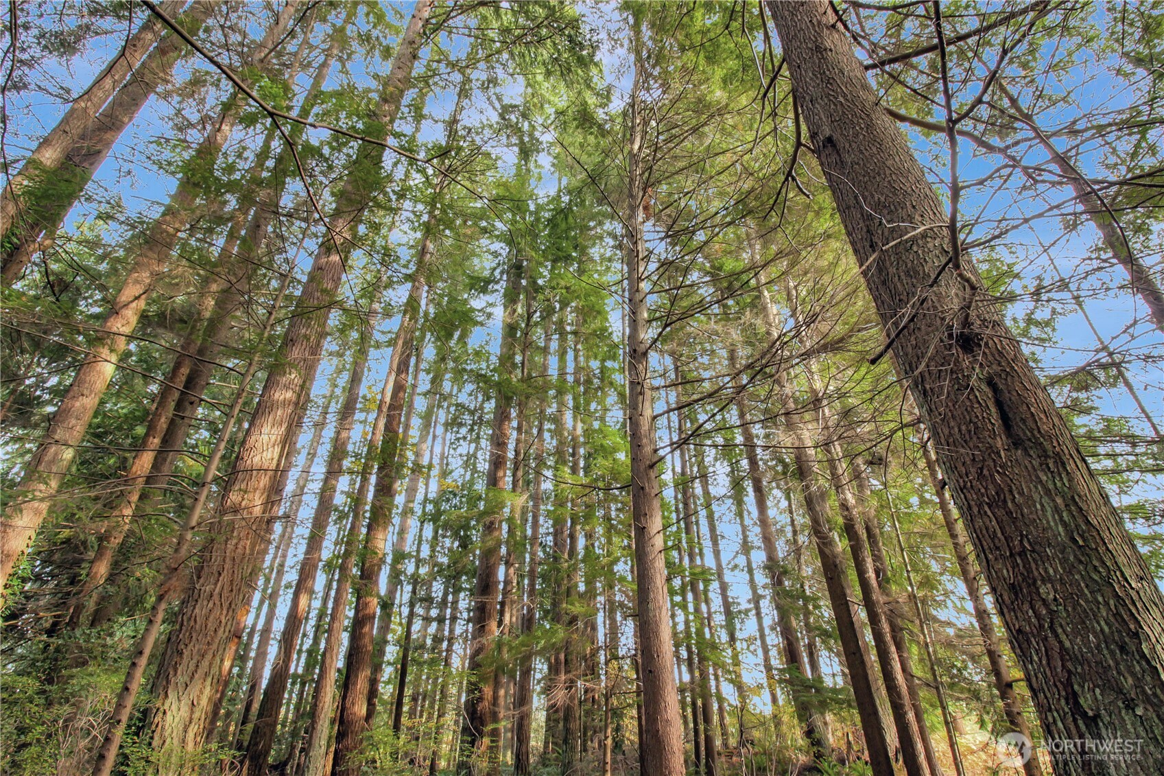 6 XXX 187th Avenue SE