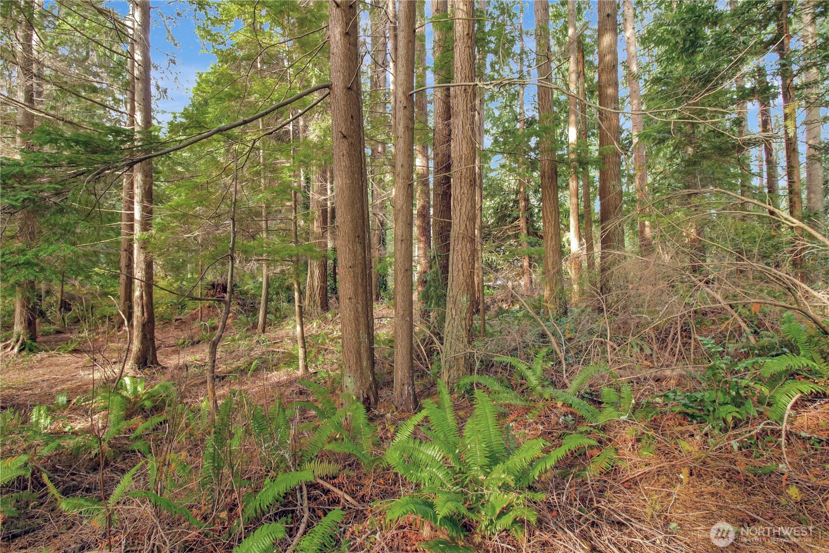 6 XXX 187th Avenue SE