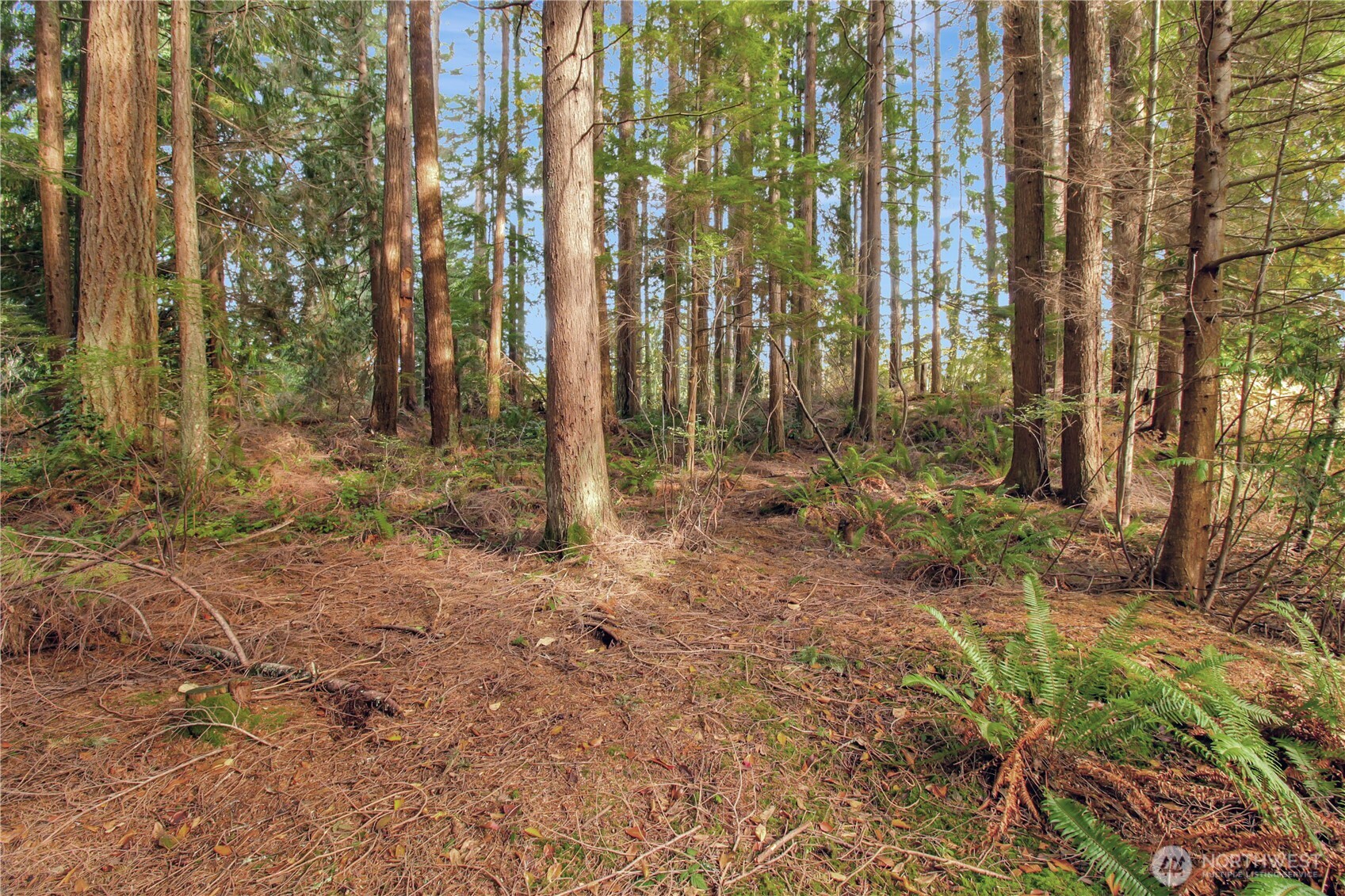 6 XXX 187th Avenue SE