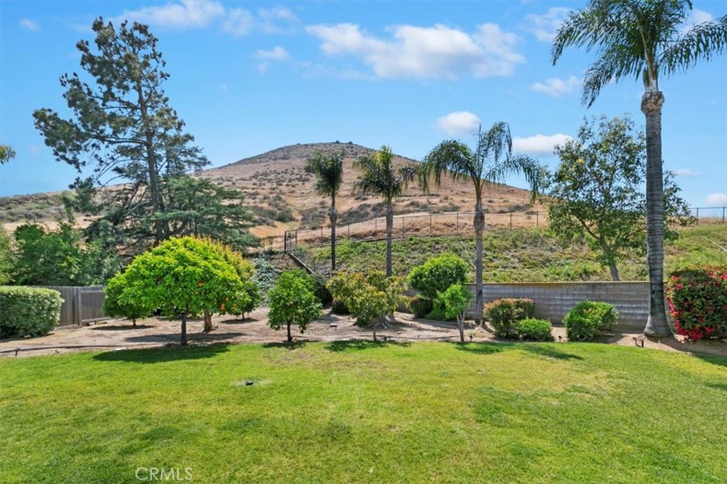 11282 Buffalo Drive