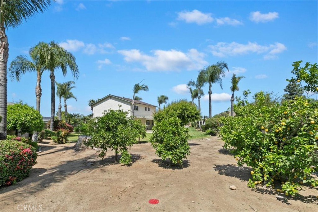 11282 Buffalo Drive