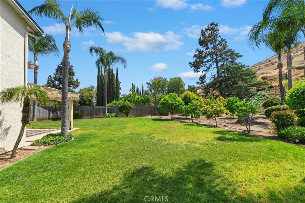 11282 Buffalo Drive