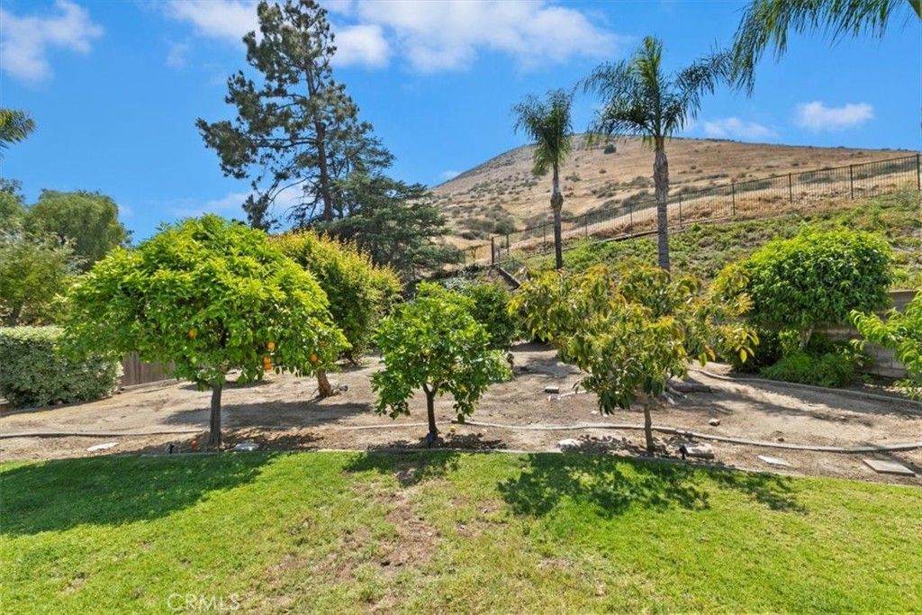 11282 Buffalo Drive