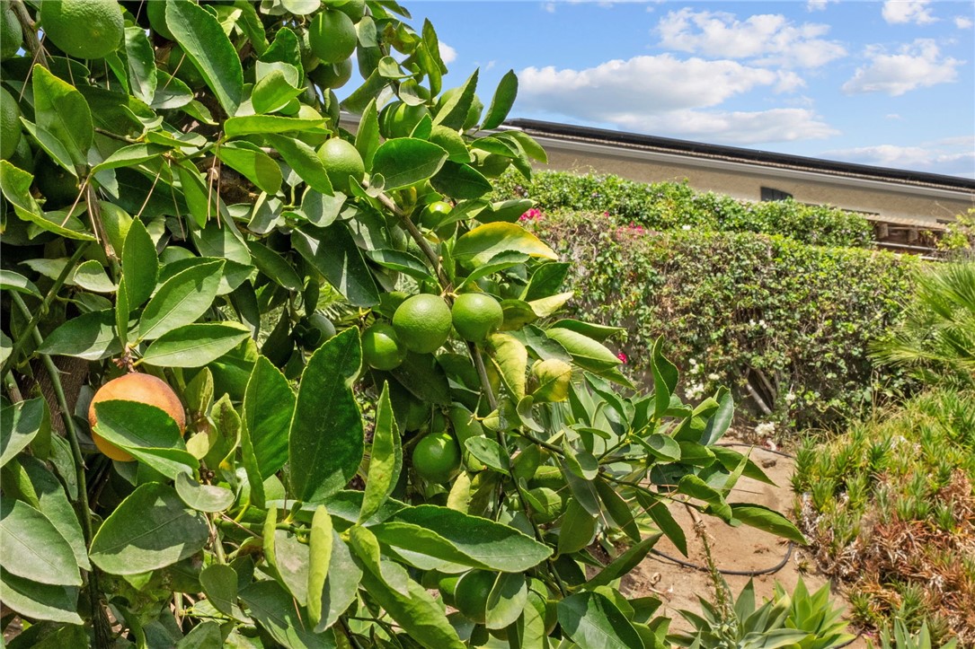 2249 Trafalgar Avenue