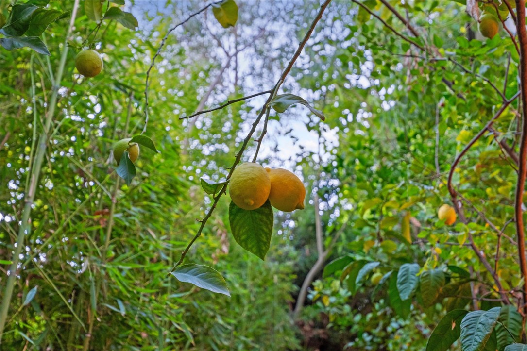 2210 Trafalgar Avenue