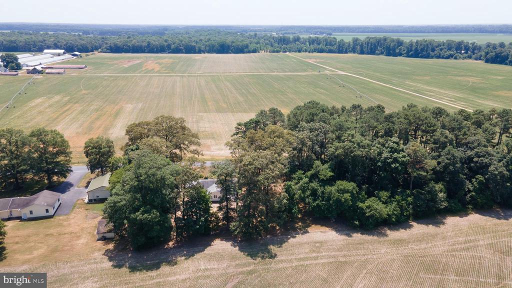 23000 Hog Creek Rd