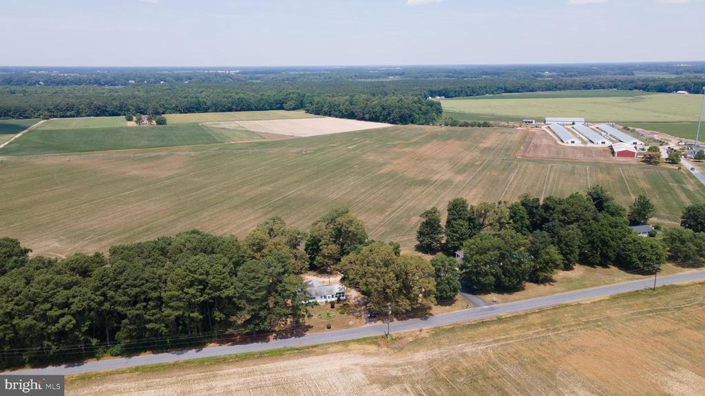 23000 Hog Creek Rd