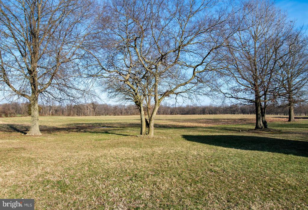 410 ALDOTS LANE