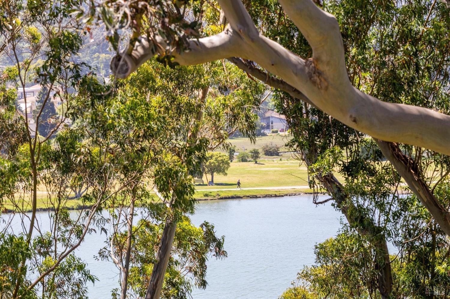 64 Eucalyptus Knoll St