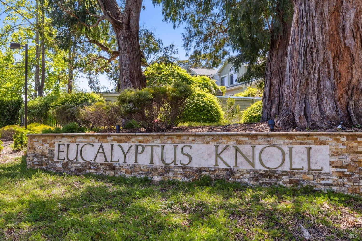 64 Eucalyptus Knoll St