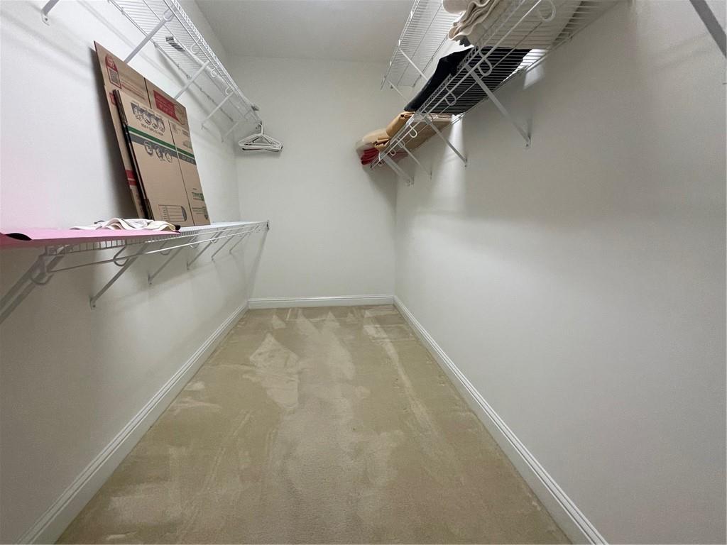 3830 Branford Court