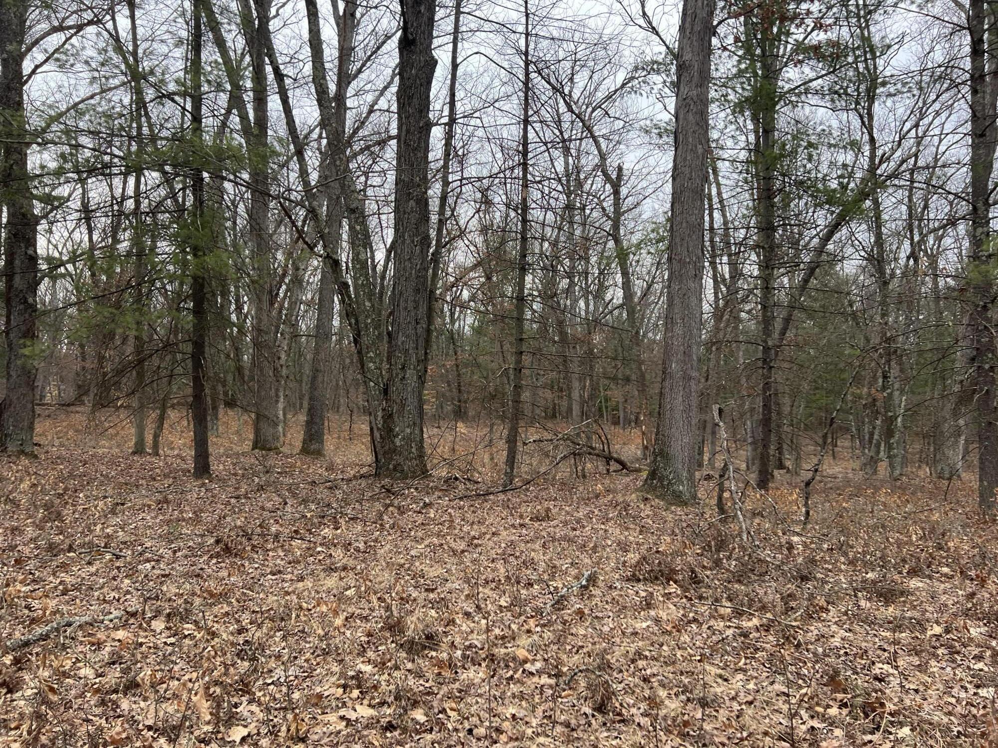 2507 S Gary Street