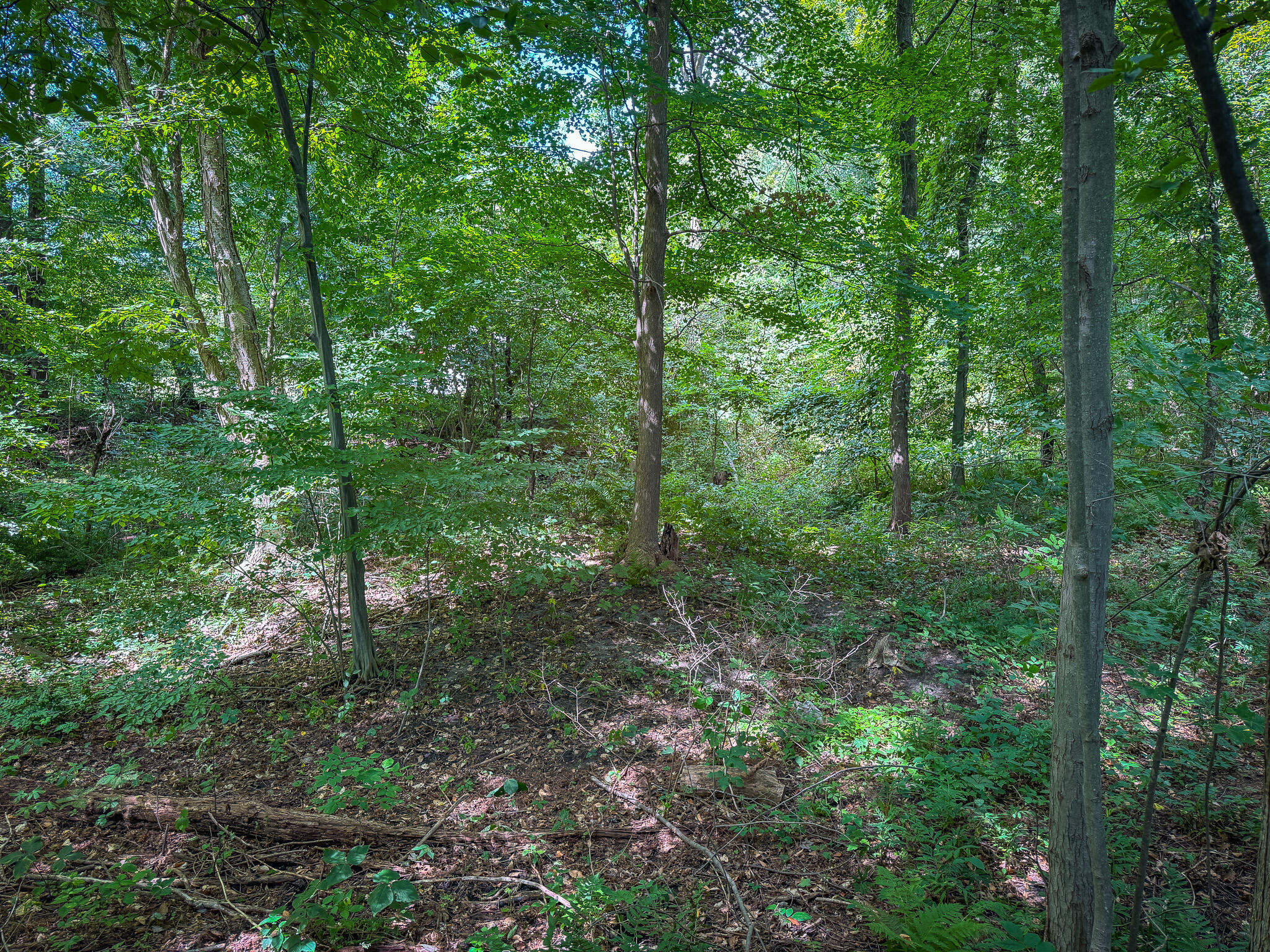 4483 Meadowbrook Lane