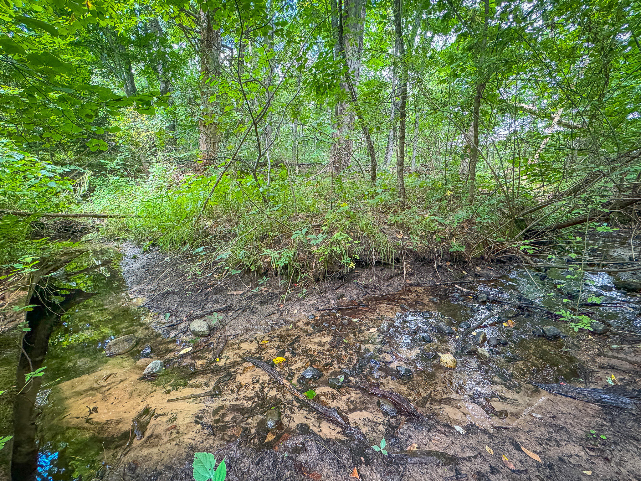 4483 Meadowbrook Lane