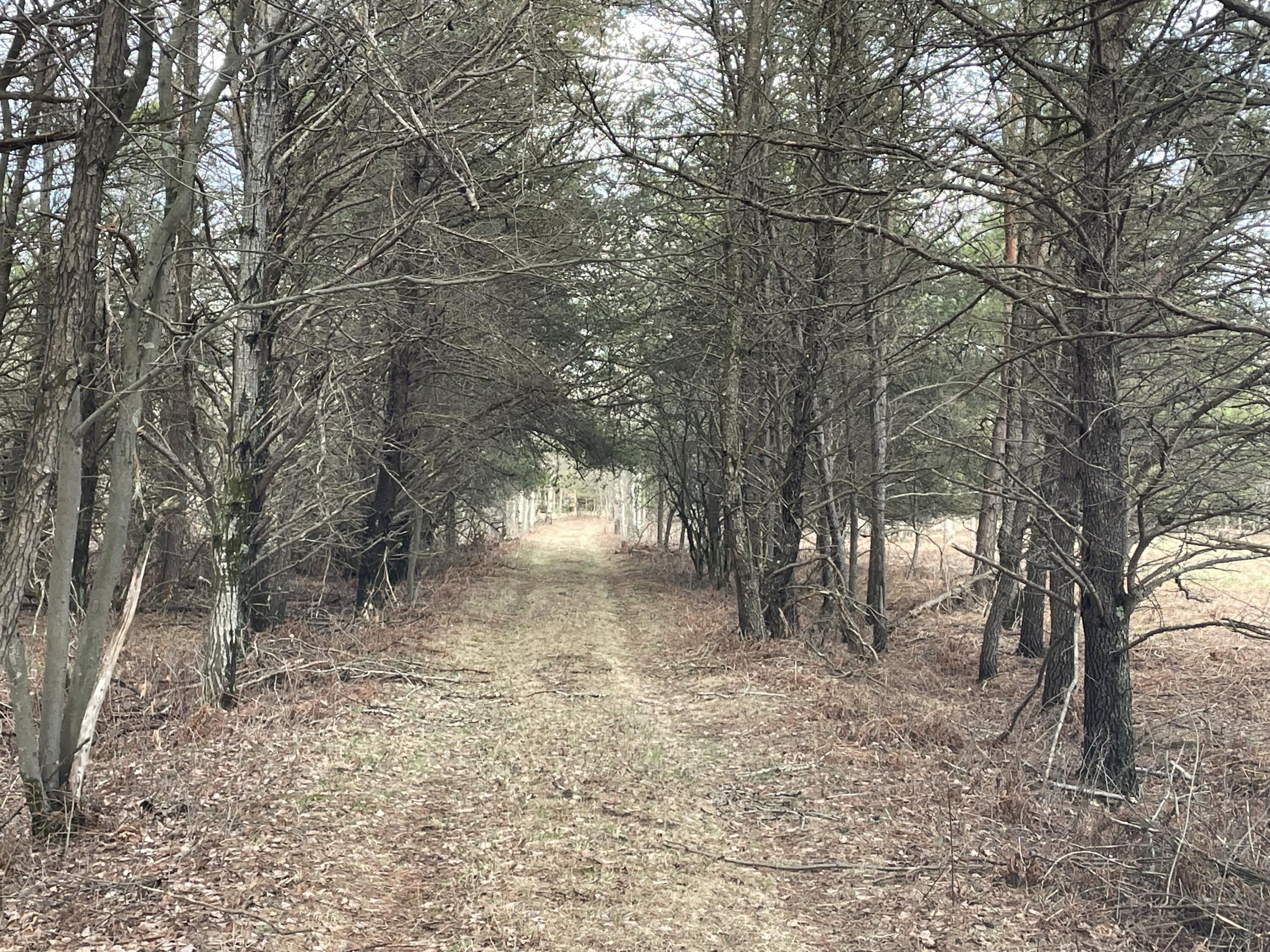 N Croswell Avenue